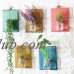 Wooden Wall Hanging Plant Terrarium Glass Planter Container，Creative Home Wall Decoration,Entryway Hallway Living Room Office Bedroom Decoration Coffee color   